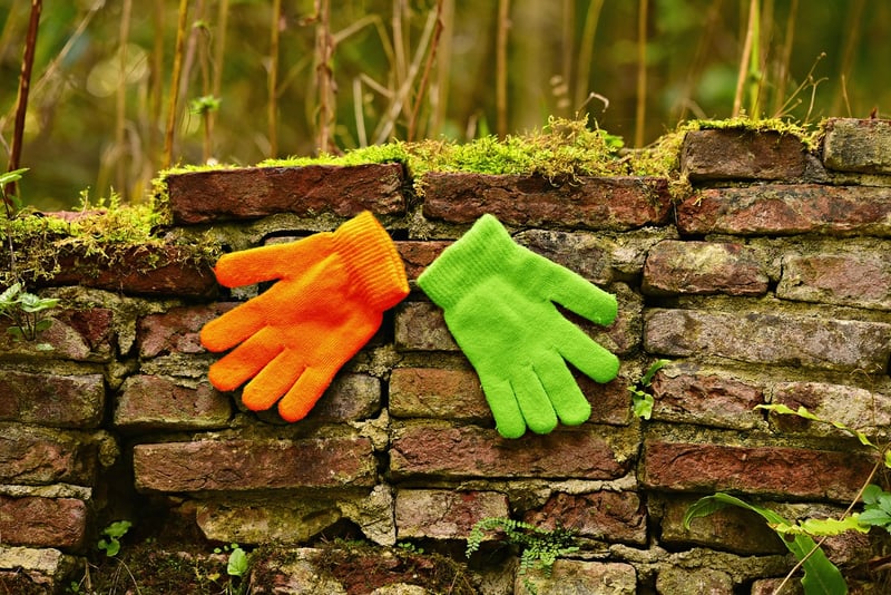 Forest Accessories
